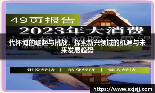 代怀博的崛起与挑战：探索新兴领域的机遇与未来发展趋势